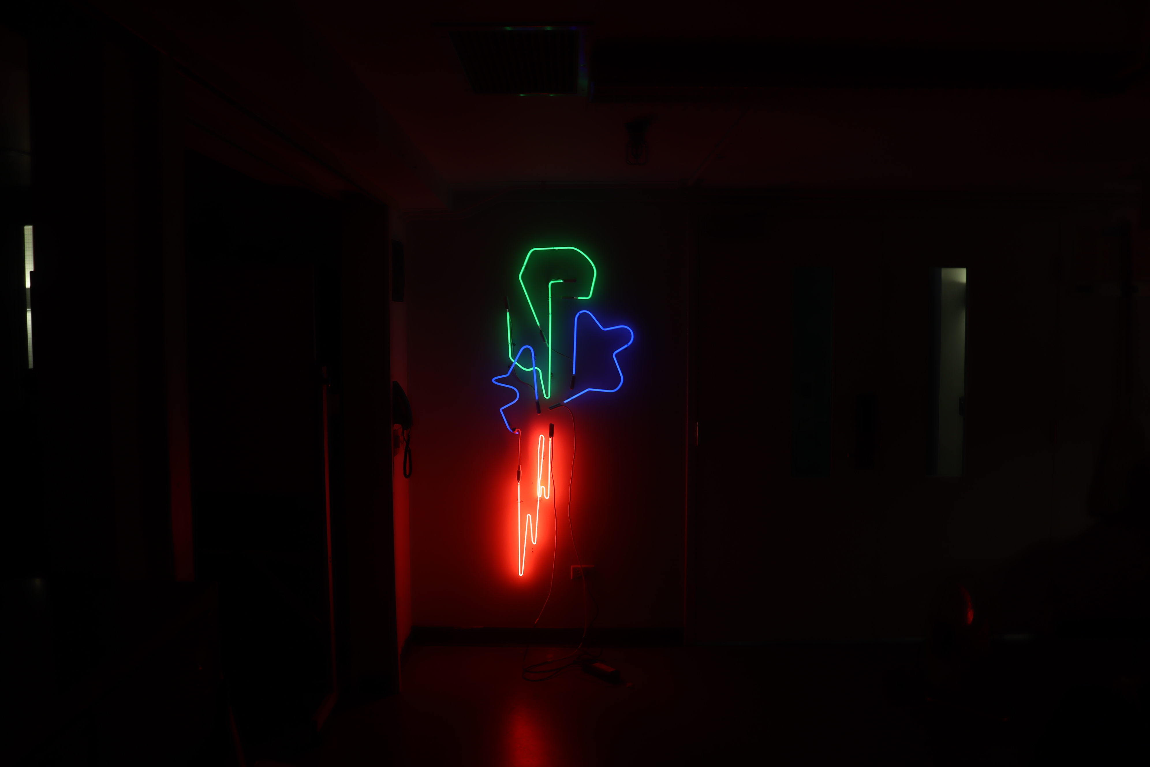 Neon Wide Horizontal 2