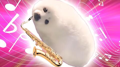 Dog JPG